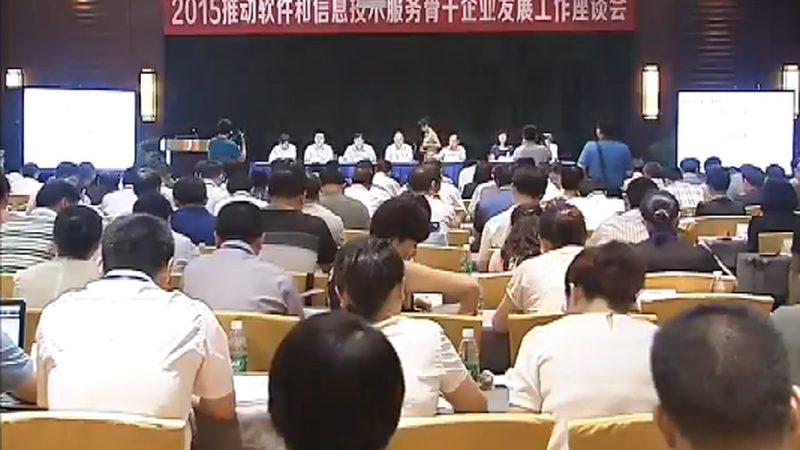 信息技术公司代理加盟：规范与标准解读**