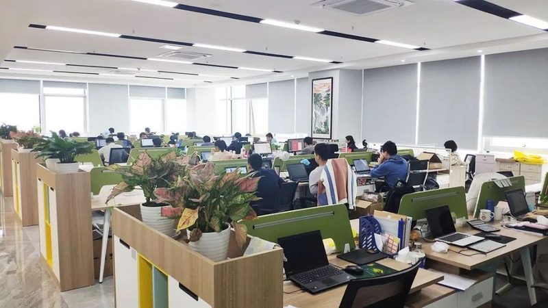成都信息技术服务，成本构成解析与预算规划